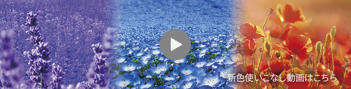 スタイリスト向け新色使いこなし動画はこちら