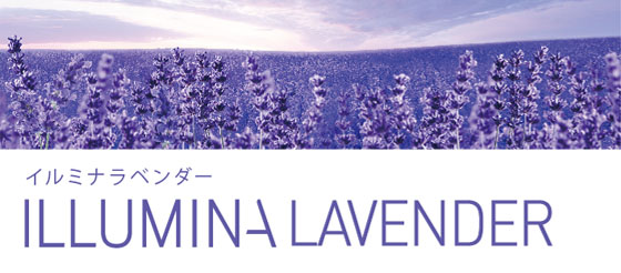 イルミナラベンダー