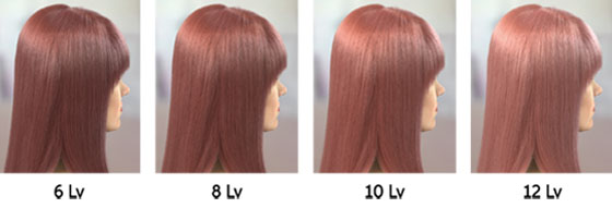 ポピーのレベル6から12までの髪色画像